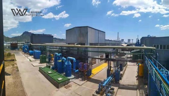 Highly Effective Talafil Powder for Erectile Dysfunction and Benign Prostatic Hyperplasia Support