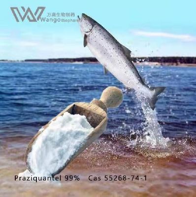 Biltricide 99% Praziquantel Powder Cas 55268-74-1 For Vermifuge