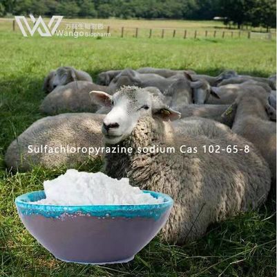 99% Anti Coccidiosis Veterinary API Sulfachloropyrazine Sodium