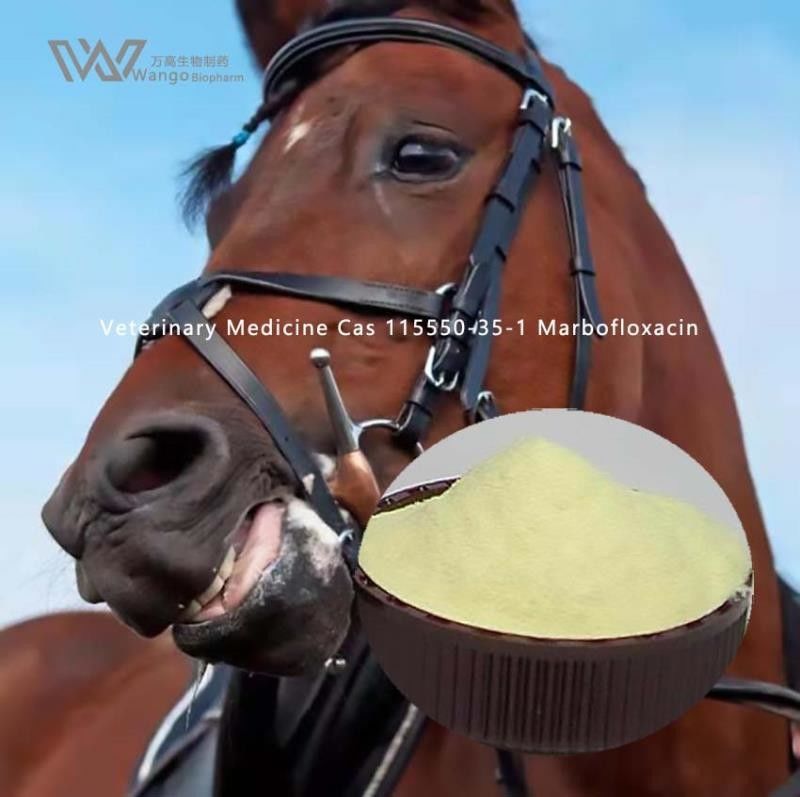 USP Marbofloxacin Powder , Antibacterial Marbofloxacin Veterinary Use 115550-35-1