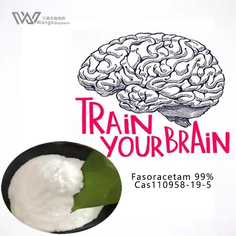 Fasoracetam NS-105 LAM-105 Powder Memory Enhancer Antidepressant Nootropic