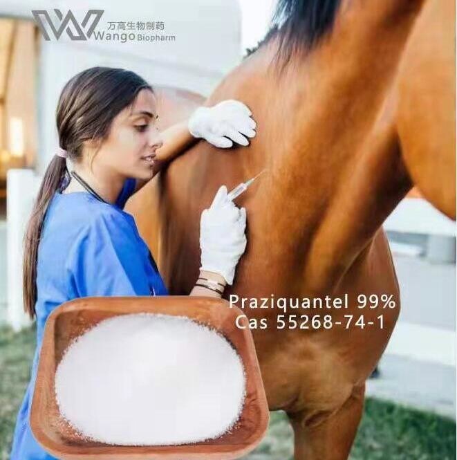 Biltricide 99% Praziquantel Powder Cas 55268-74-1 For Vermifuge