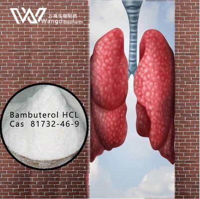 Bambuterol HCL 99% chất chống hen 81732-46-9 để điều trị hen phế quản