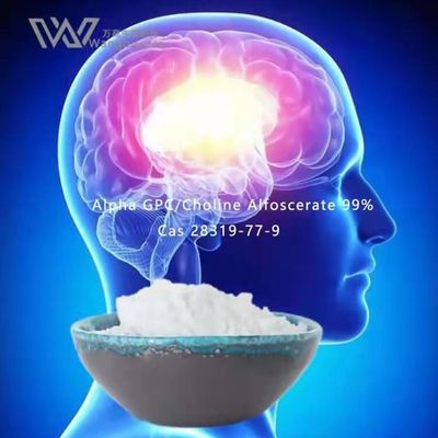 HPLC Nootropics Bulk Powder, Alpha Gpc Acetylcholine 28319-77-9